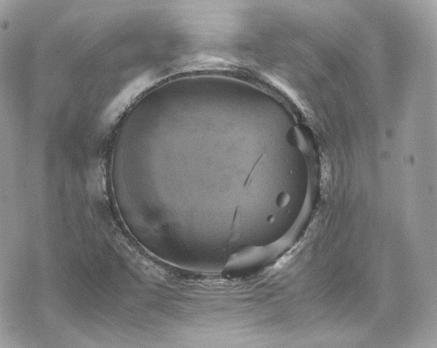 X0000070371455200606161305