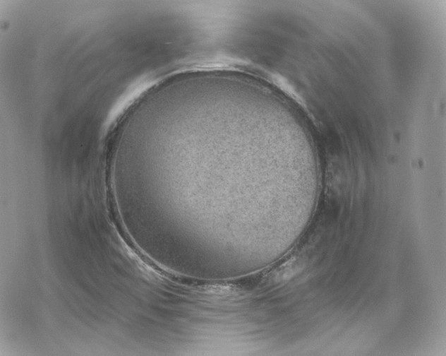 X0000070371456200606161305