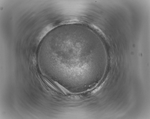 X0000070371457200606161305