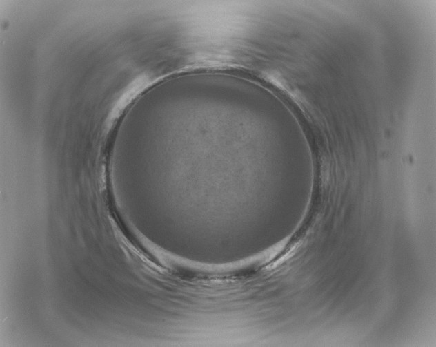 X0000070371459200606161305