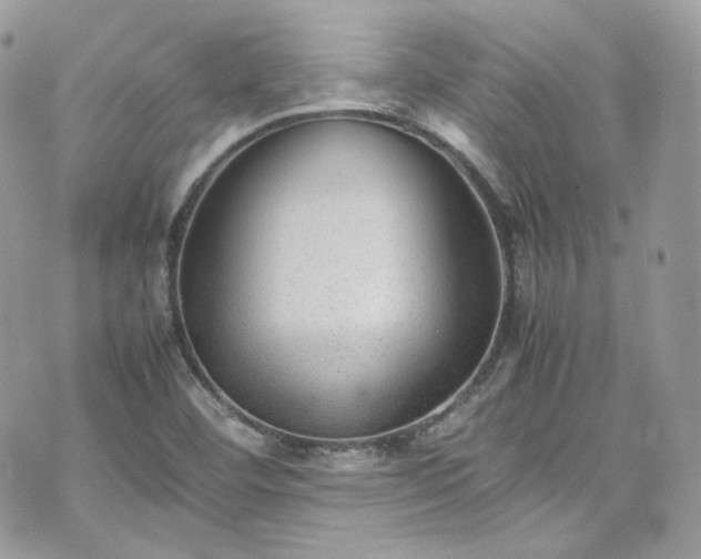 X0000070371460200606161305