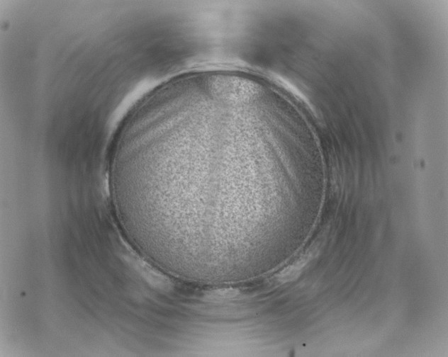 X0000070371462200606161305