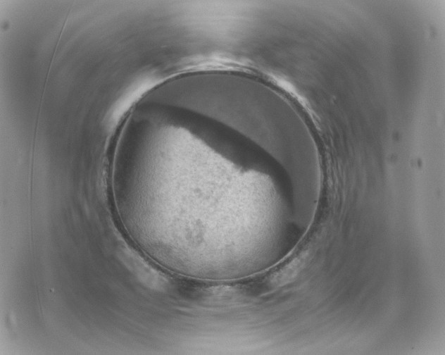 X0000070371463200606161305