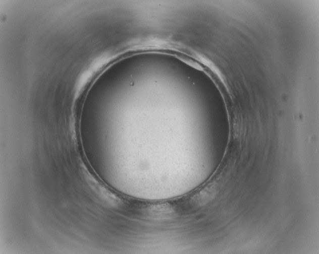 X0000070371464200606161305