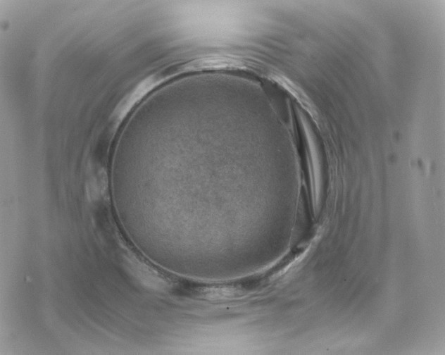 X0000070371465200606161305