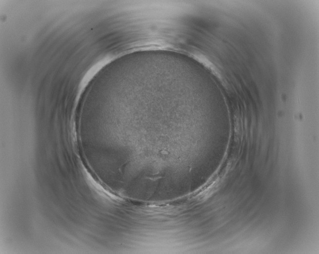 X0000070371466200606161305