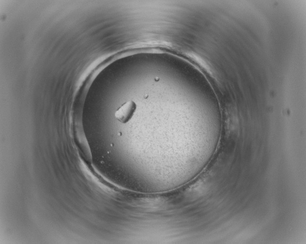 X0000070371468200606161304