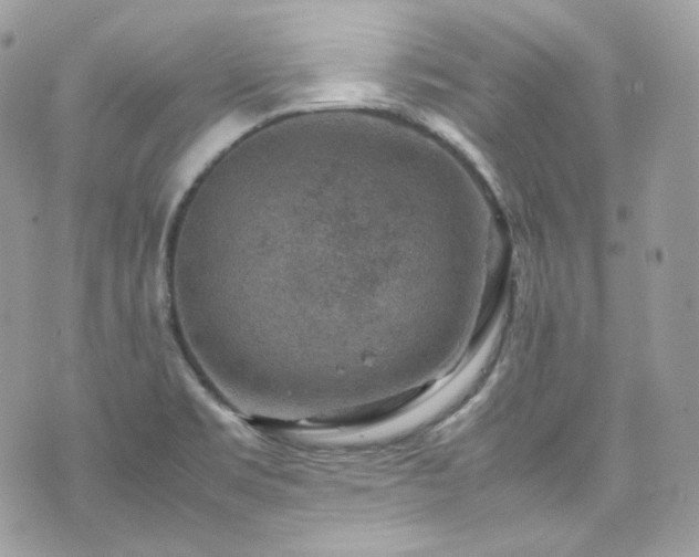 X0000070371469200606161304