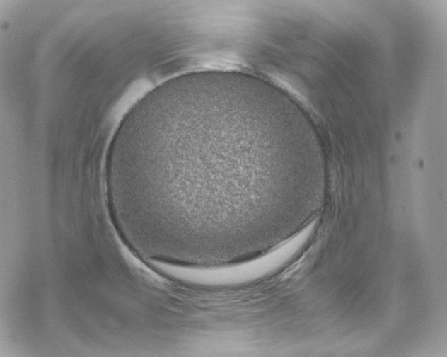 X0000070371471200606161304