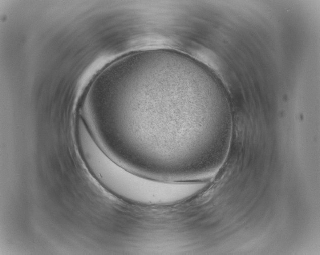 X0000070371472200606161304