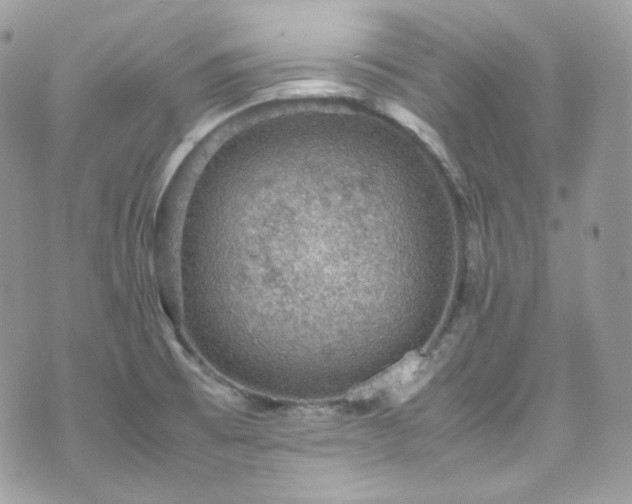 X0000070371473200606161304