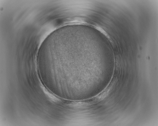 X0000070371474200606161304