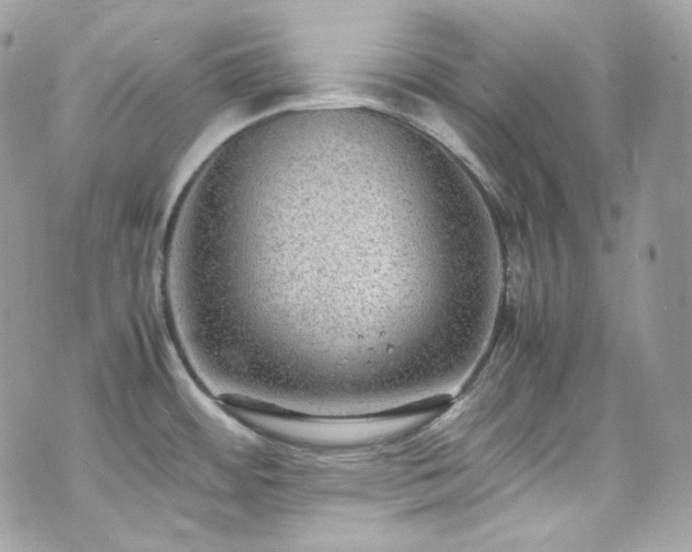 X0000070371484200606161304