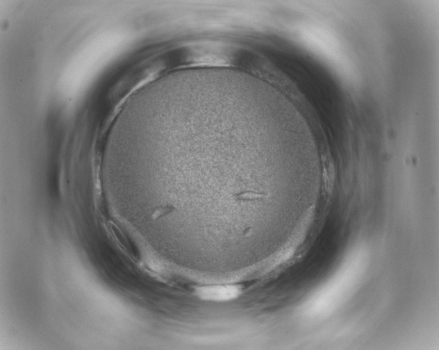 X0000070371487200606161304