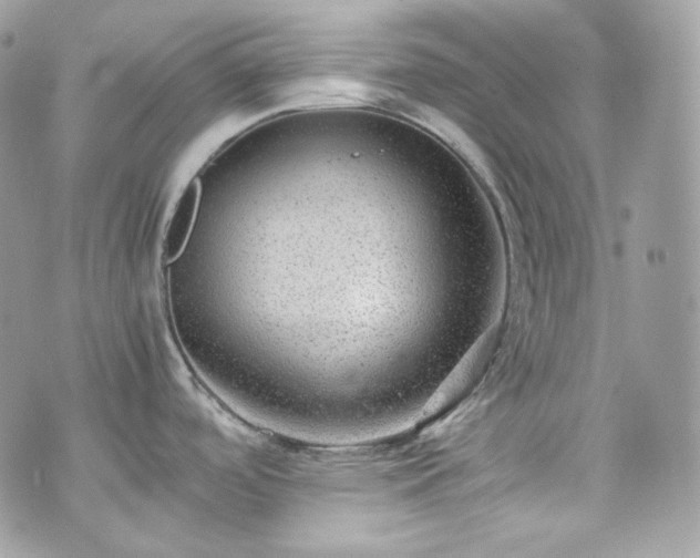 X0000070371488200606161304