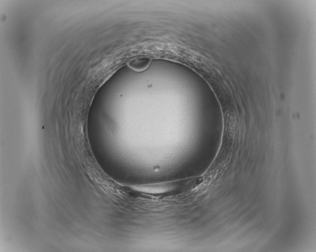 X0000070371489200606161303