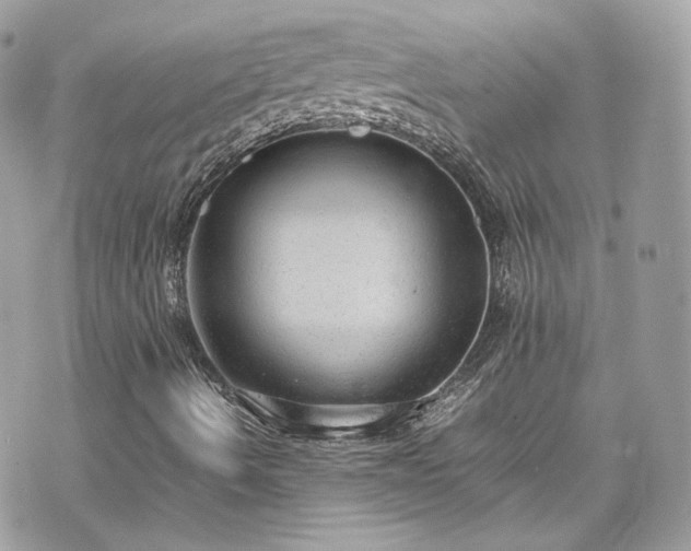 X0000070371490200606161303