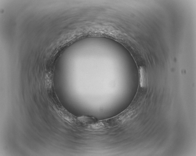 X0000070371491200606161303