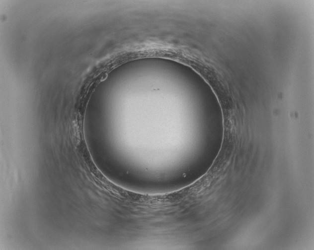 X0000070371493200606161303