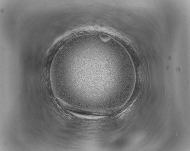 X0000070371494200606161303