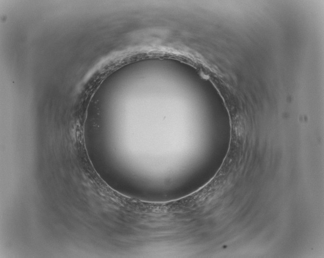 X0000070371495200606161303