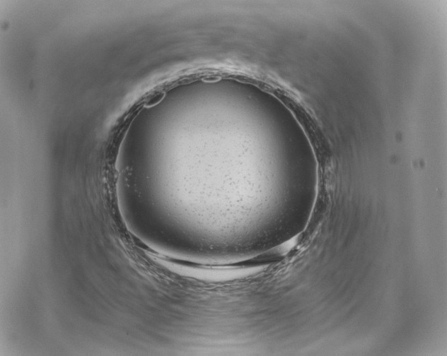 X0000070371496200606161303