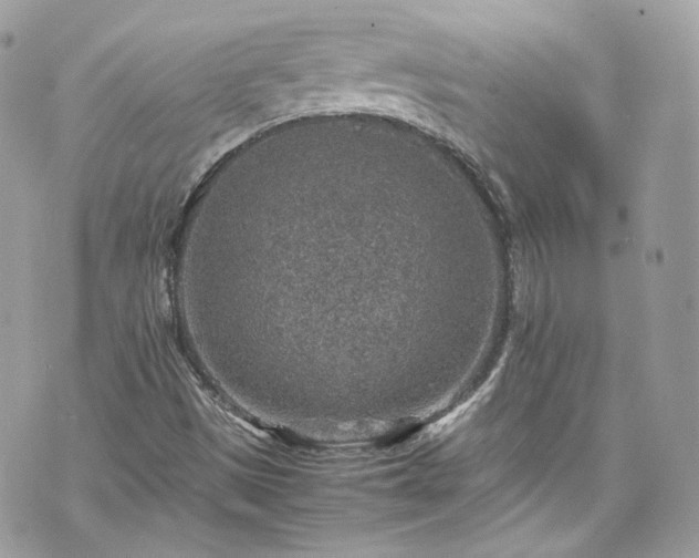 X0000070371497200606161303