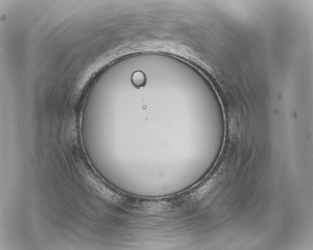 X0000070371498200606161304