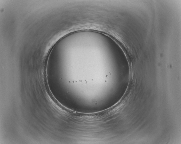 X0000070371500200606161304