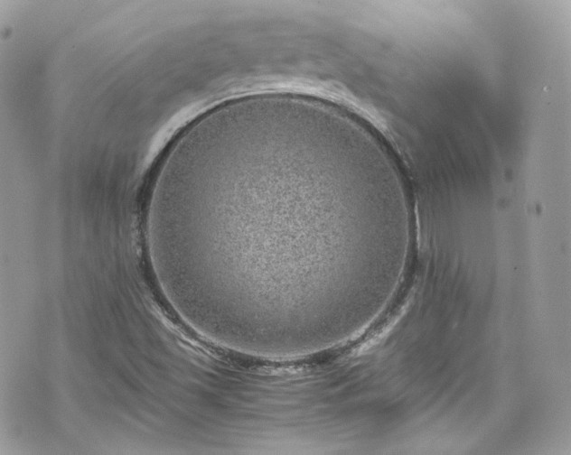 X0000070371501200606161304