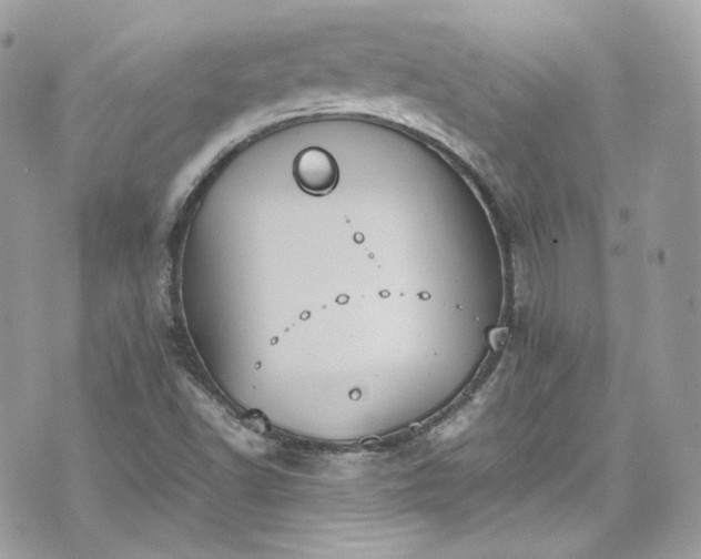 X0000070371502200606161304