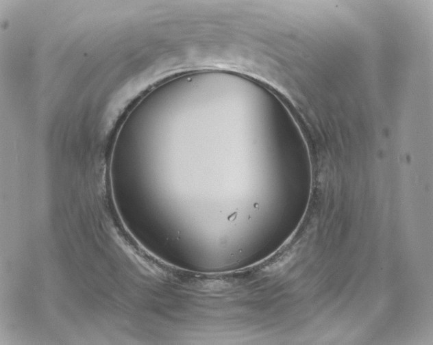 X0000070371507200606161304