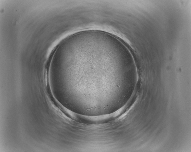 X0000070371510200606161304