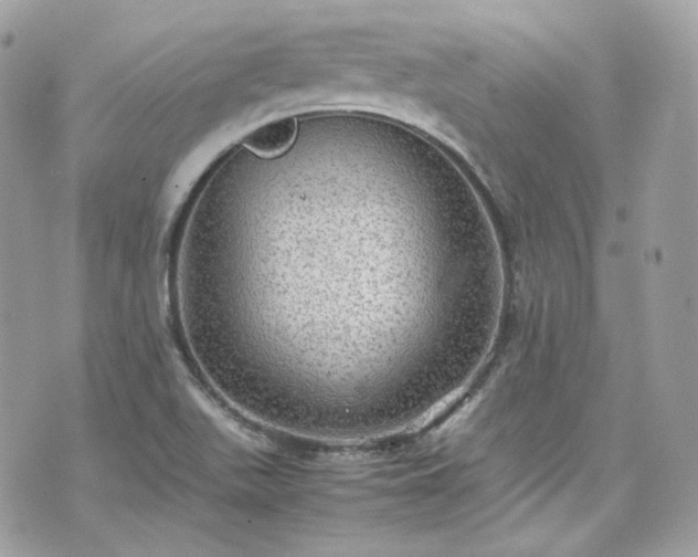 X0000070371511200606161304