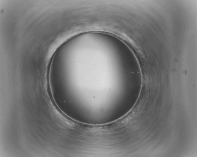 X0000070371512200606161304