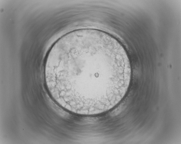 X0000070371514200606161304