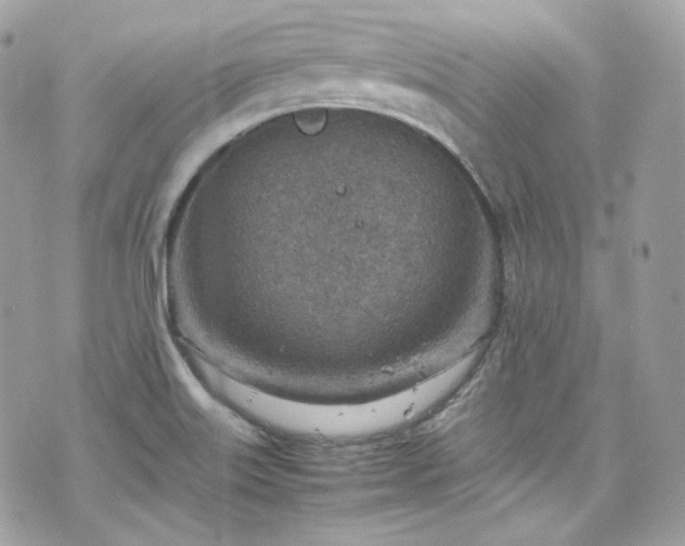 X0000070371515200606161304