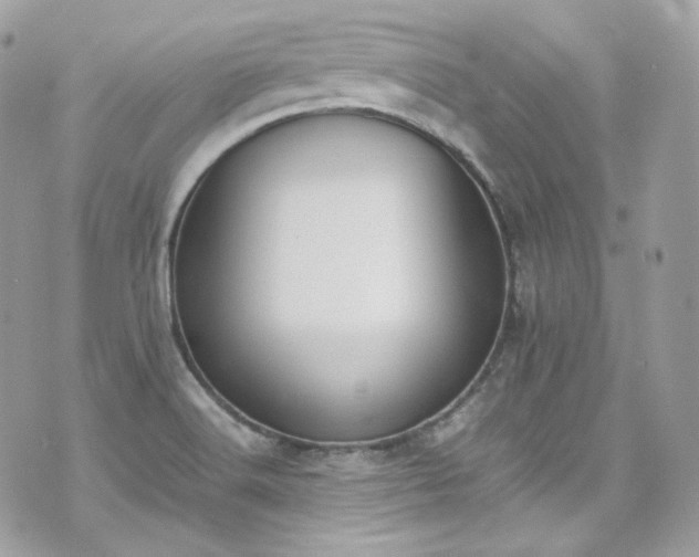 X0000070371516200606161304