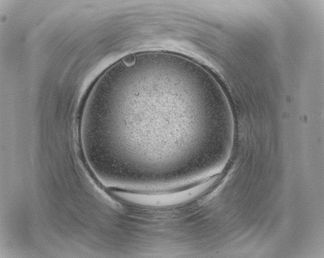 X0000070371517200606161304