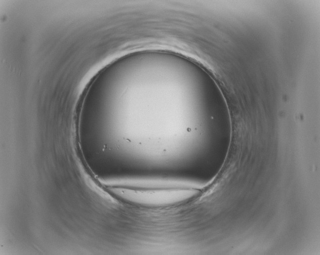 X0000070371518200606161304