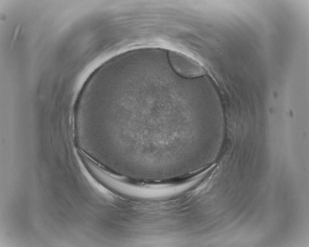 X0000070371519200606161304