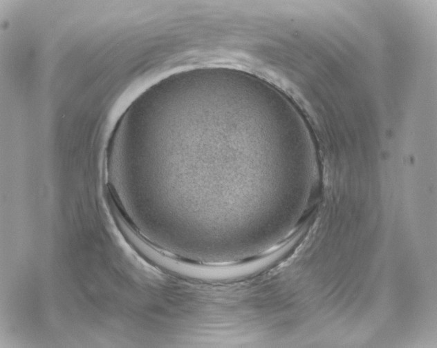 X0000070371520200606161304