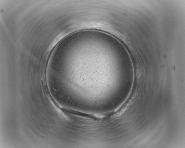 X0000070371521200606161304