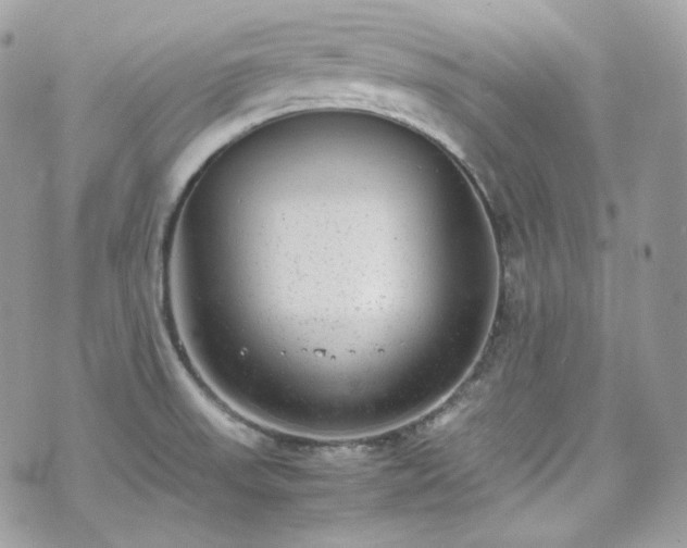 X0000070371523200606161304