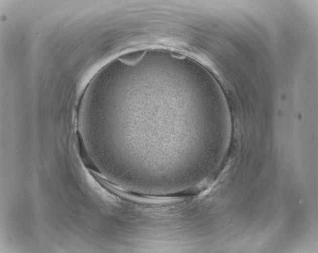 X0000070371524200606161304