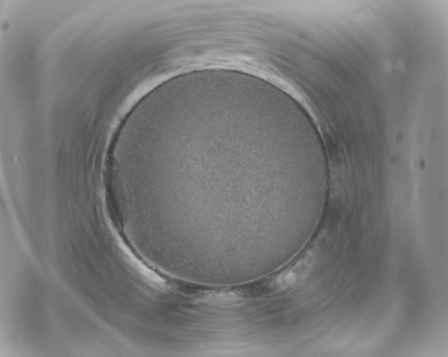 X0000070371525200606161304