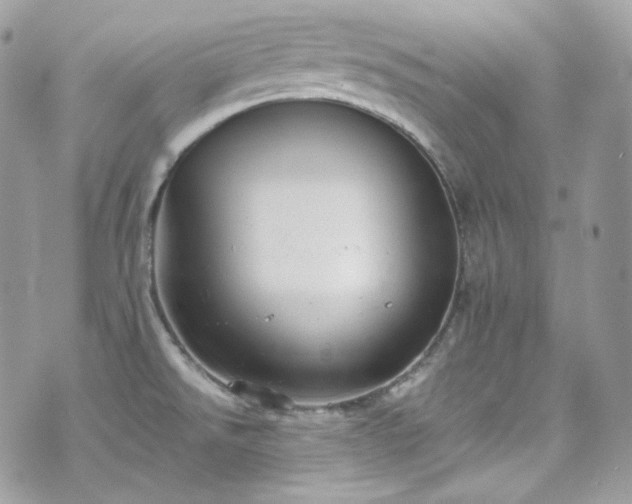 X0000070371526200606161304