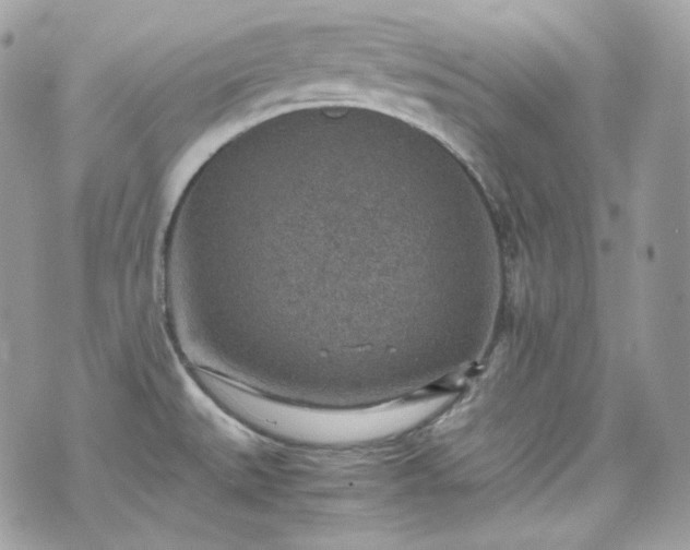 X0000070371527200606161304