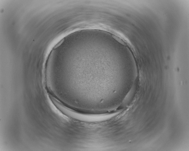 X0000070371528200606161304