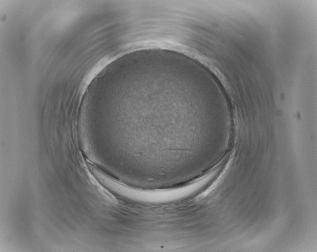 X0000070371529200606161304